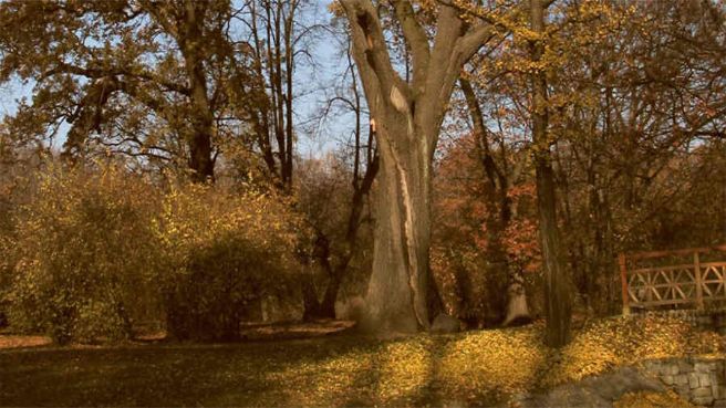 Park Szczytnicki