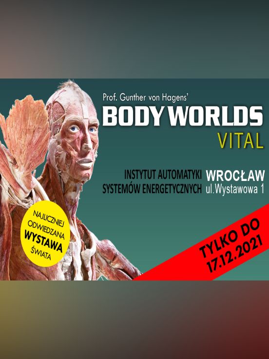 Wystawa Body Worlds Wrocław