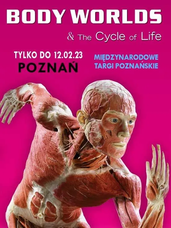 BODY WORLDS Poznań