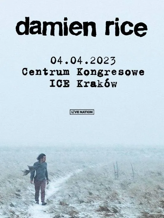 Damien Rice